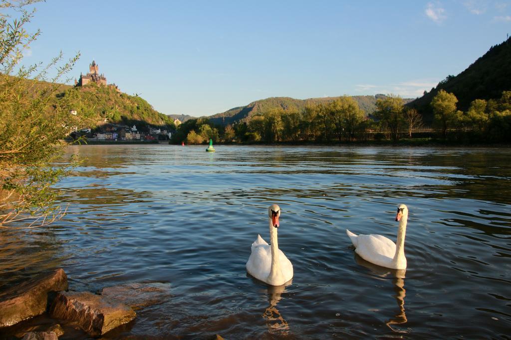 Hotel Klasen Commune fusionnée de Cochem-Land Extérieur photo